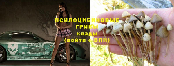 гидра Абдулино