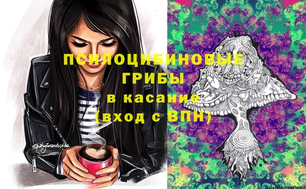 дурь Абаза