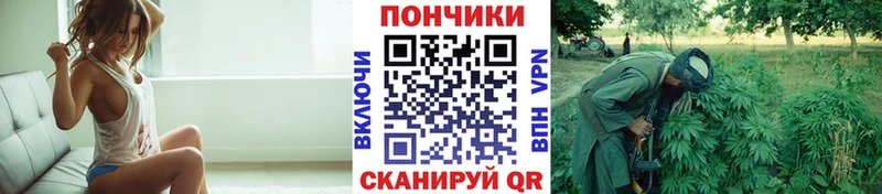 ОМГ ОМГ как войти Кудымкар Бошки марихуана Amnesia купить цена